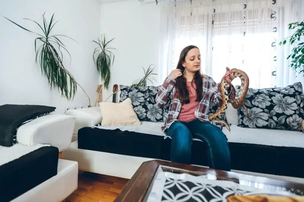 woman with pet snake in her apartment to answer do apartments allow snakes