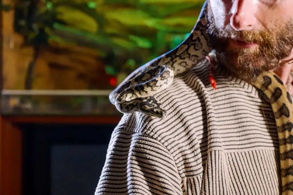 snake with a man with beard to answer do snakes have hair 
